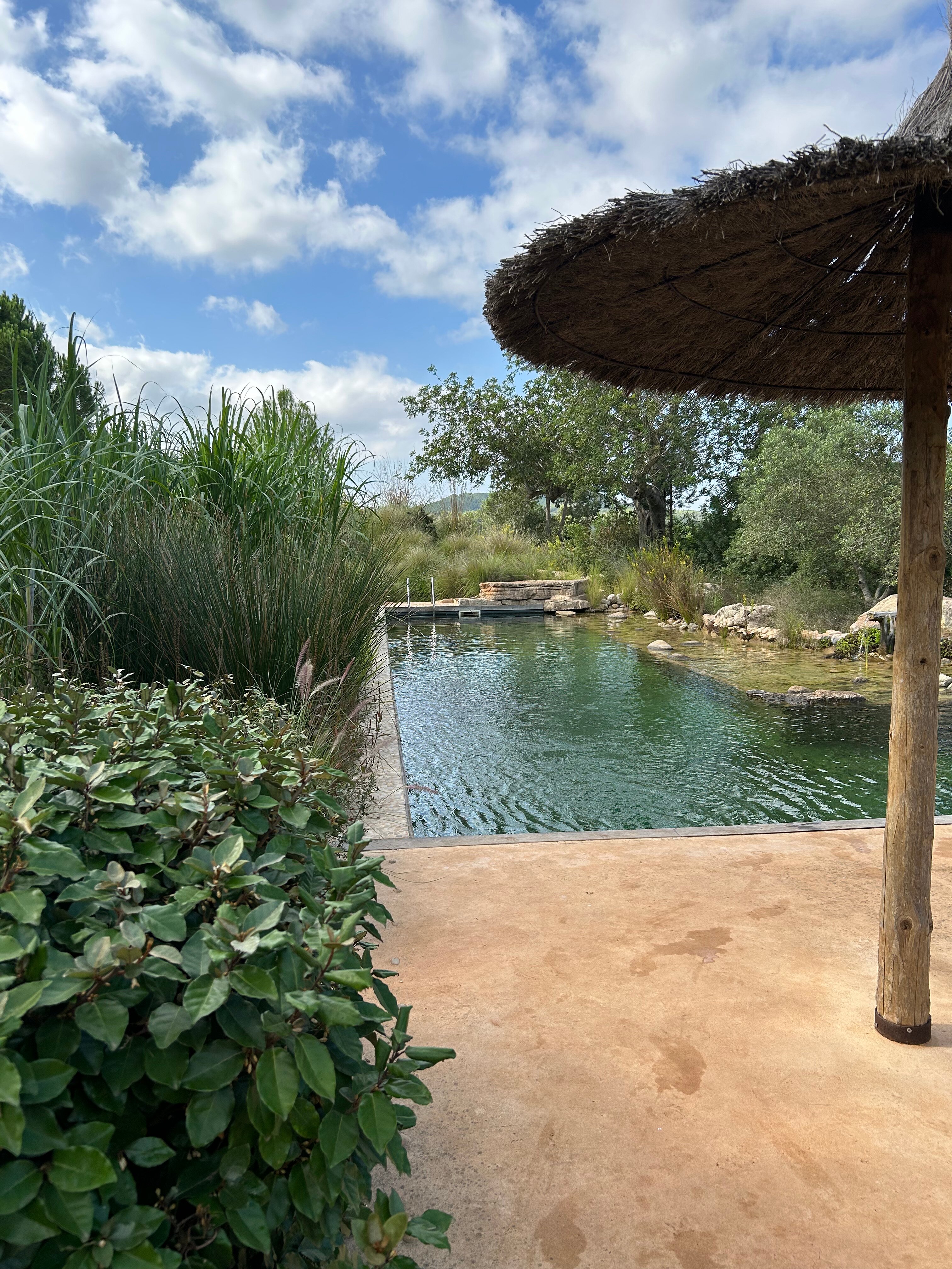 Can Marti Agroturismo-泳池