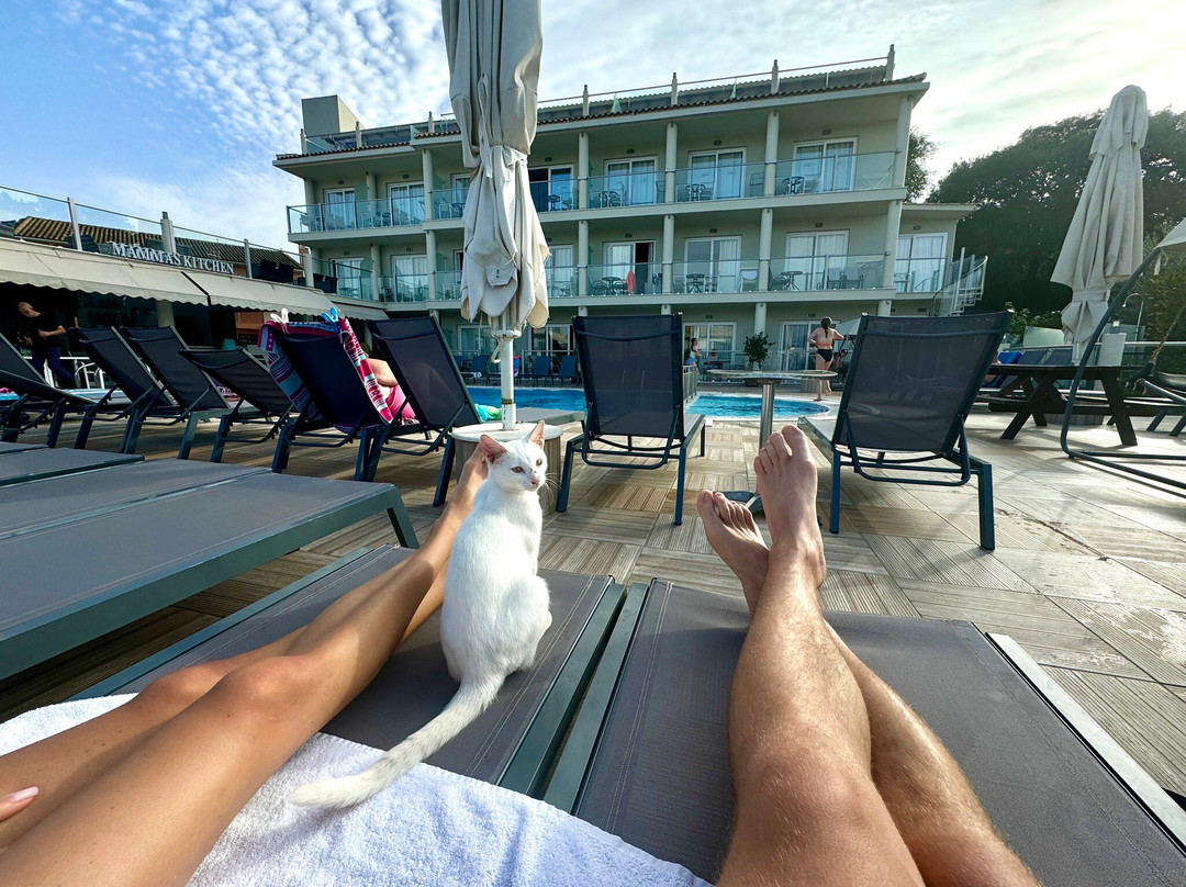 Gikas Aparthotel主图