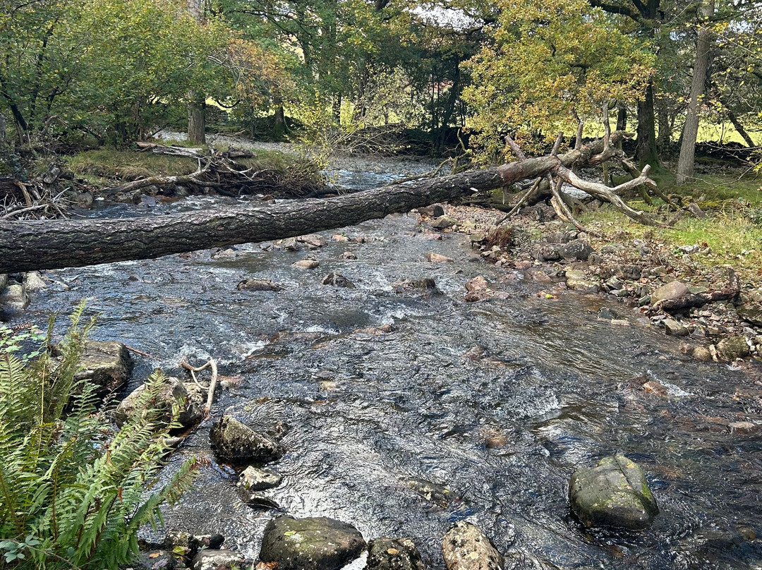 Stanley Ghyll Force Waterfall景点图片