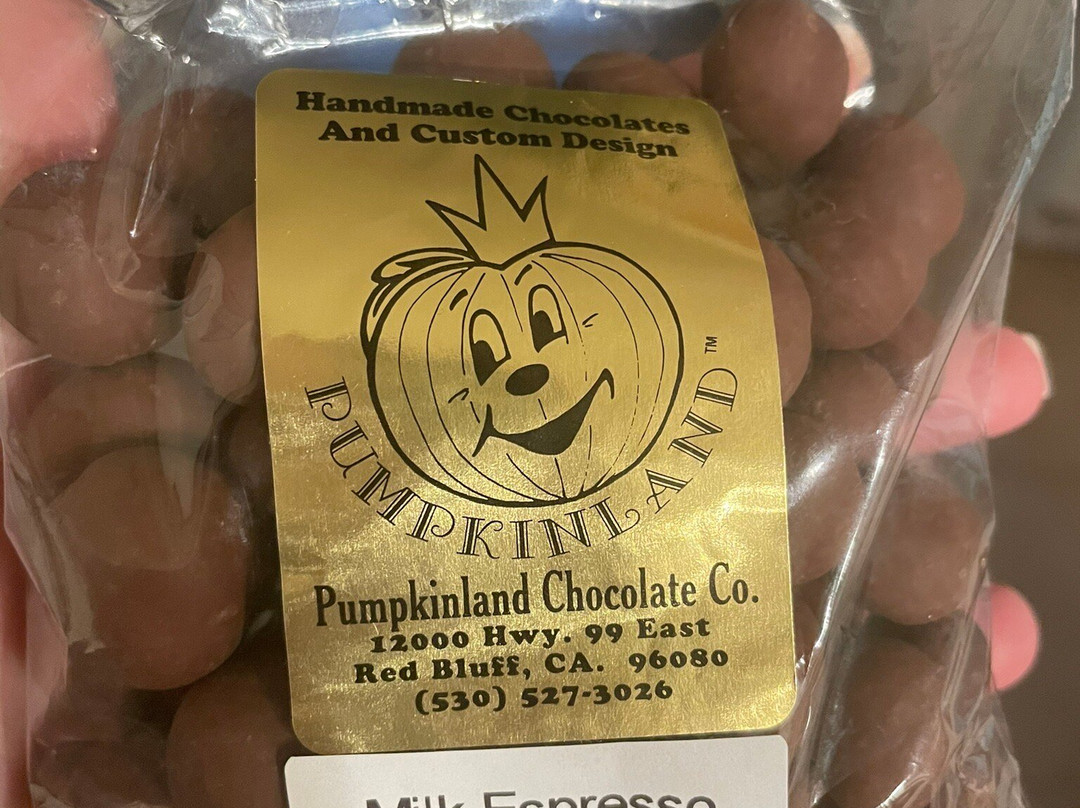 Pumpkinland Chocolate Company景点图片