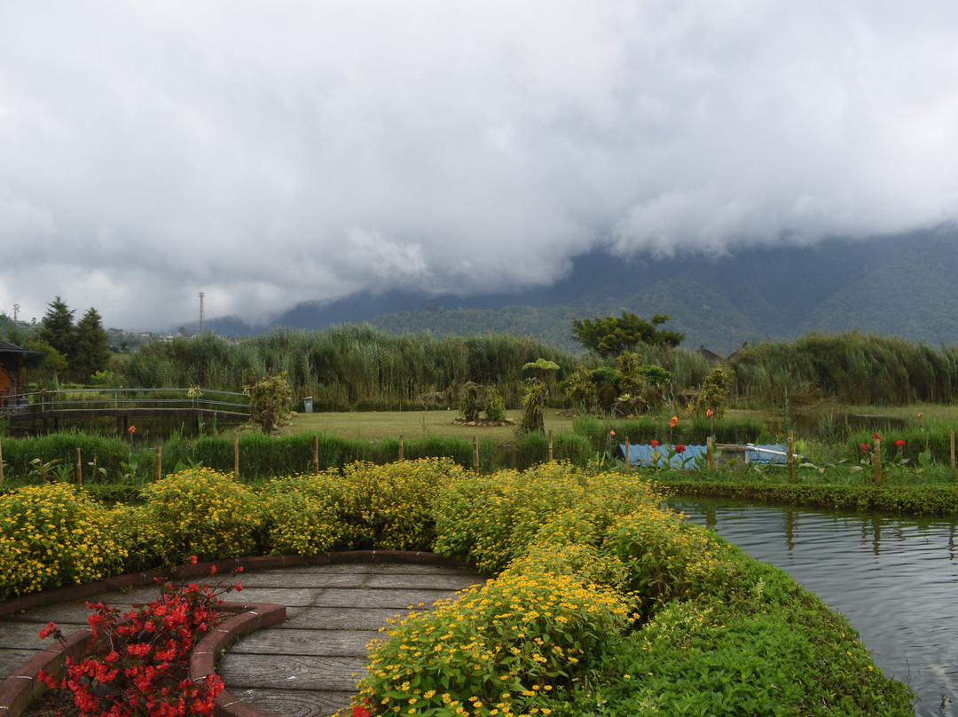 Ulun Danu Beratan Temple景点图片