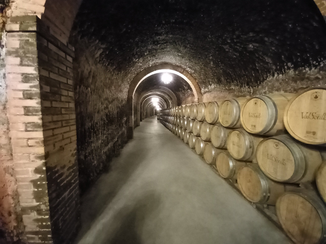 Bodegas Ismael Arroyo景点图片