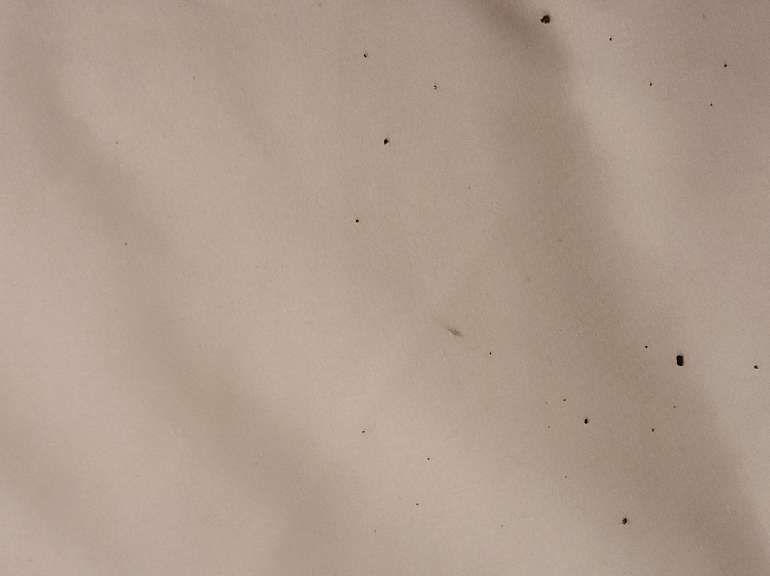 Inn at Price Tower主图