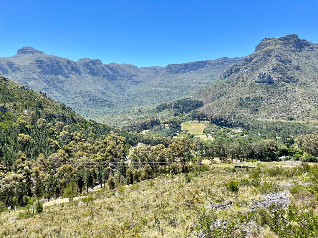 SA Forest Adventures-康士坦提亚必去景点