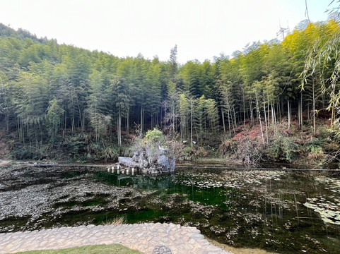 中国大竹海-安吉县必去景点