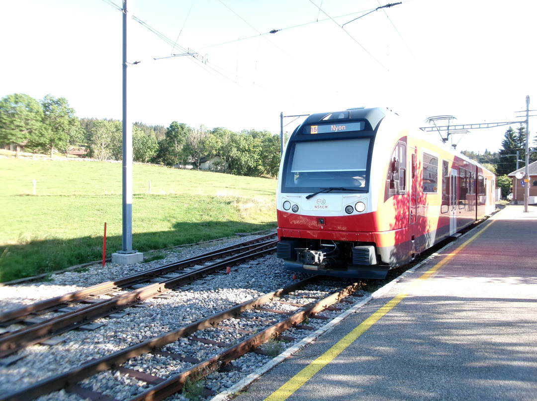 Nyon St-Cergue La Cure Railway景点图片