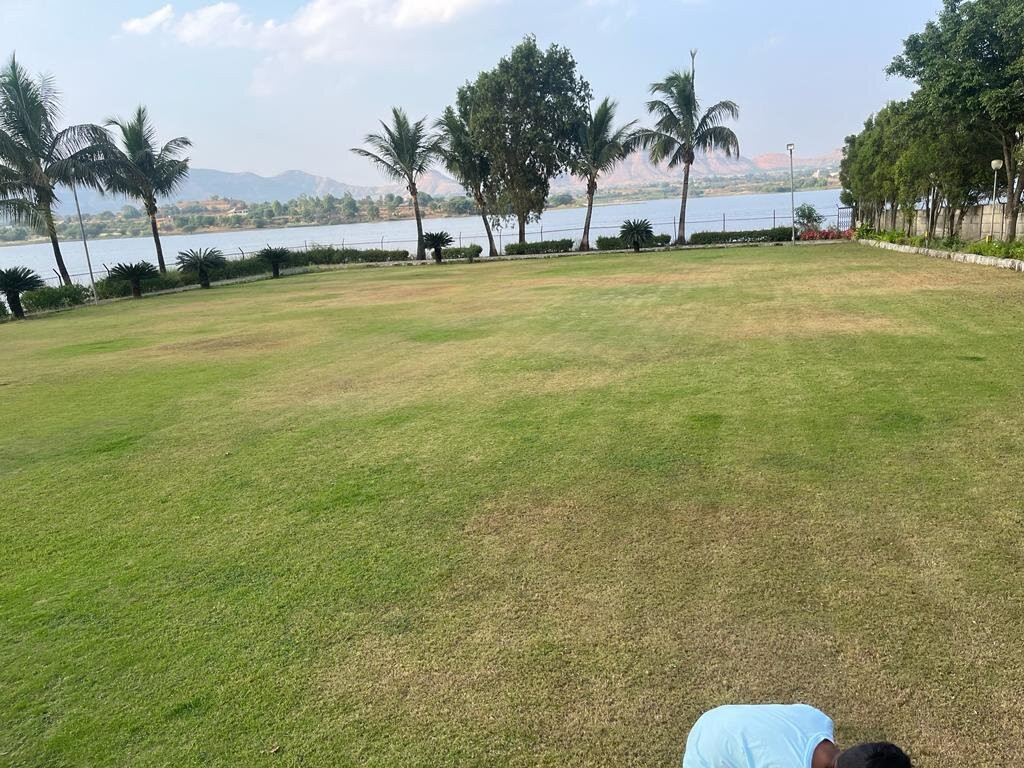 Savana Lake Resort主图