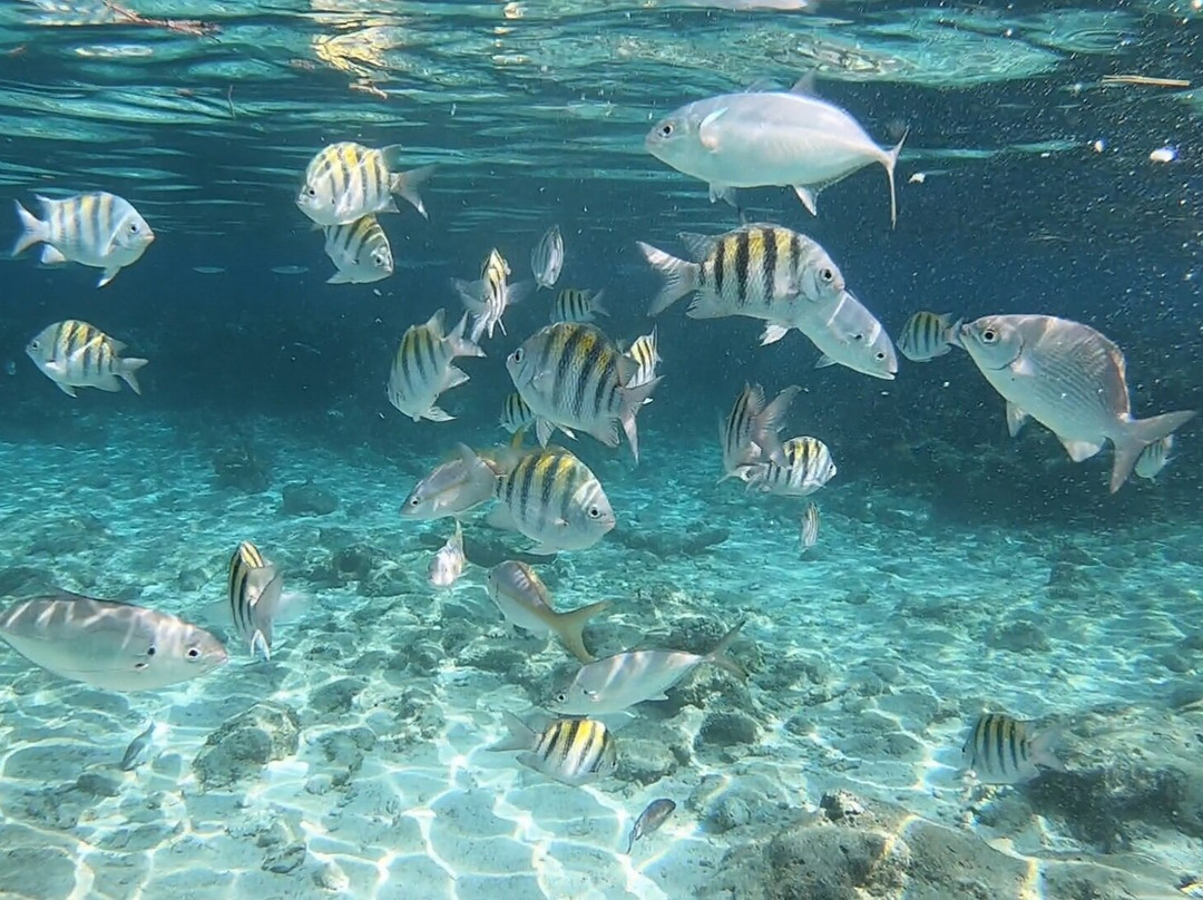 Cayo Arena-Monte Cristi必去景点