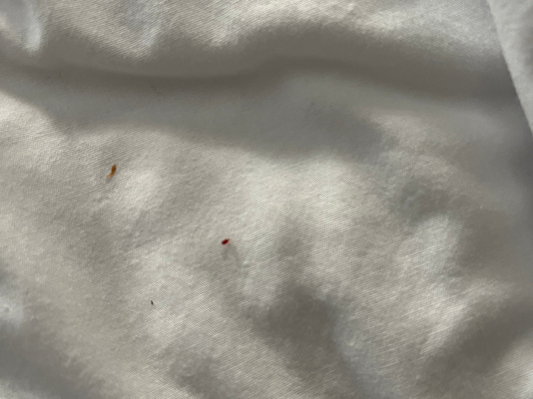 Hampton Inn & Suites Ft. Lauderdale West-sawgrass/tamarac主图