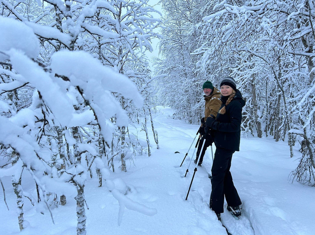 Arctic Fox Expeditions-罗瓦涅米必去景点