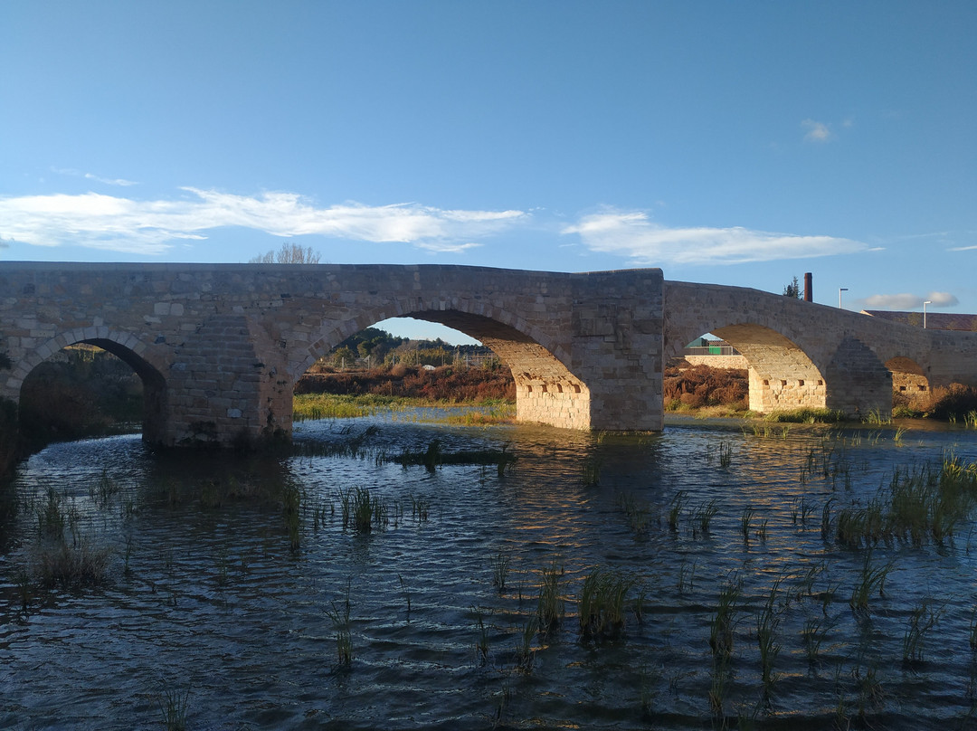 Pont Vell景点图片
