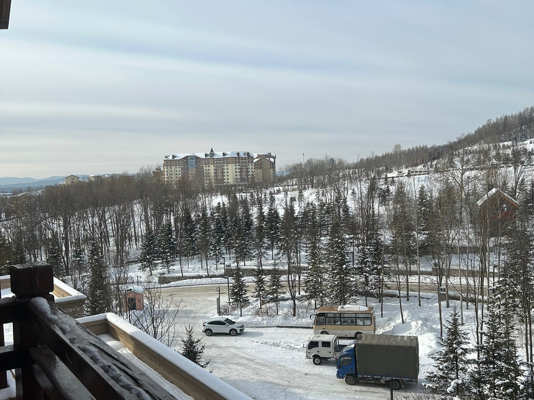 Tangram Ski Circus-信浓町 必去景点