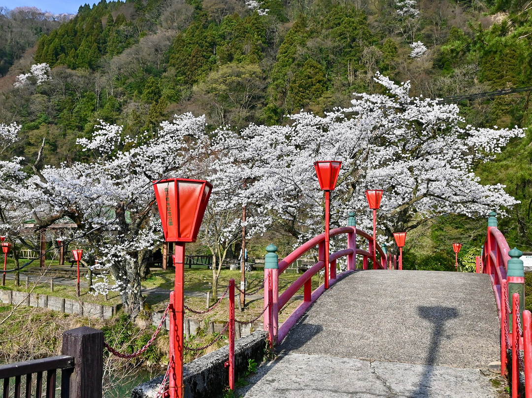 Shogawa Aqua Memorial Park景点图片