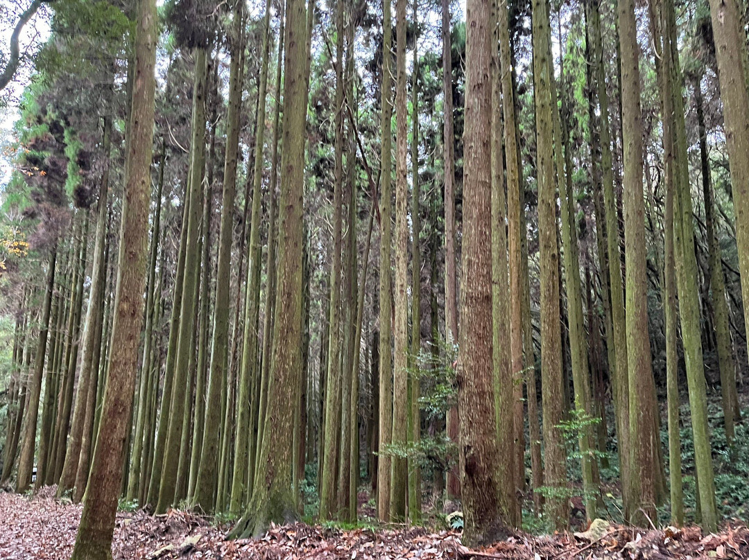 Kanada Castle-对马市必去景点