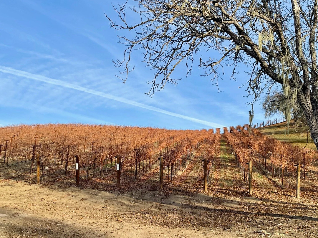 The Inn at Opolo主图