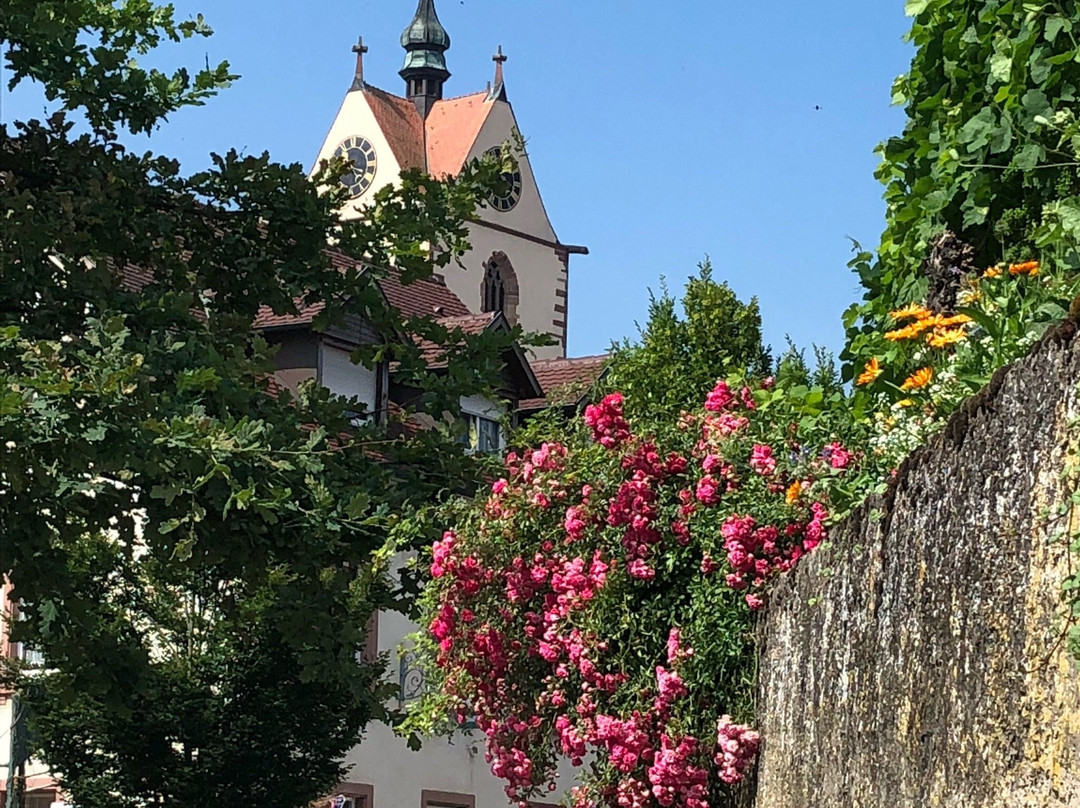 Endingen am Kaiserstuhl旅游攻略图片