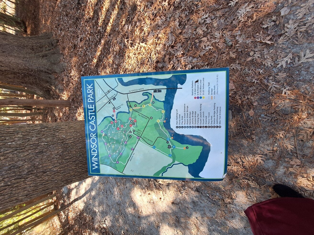 Windsor Castle Park-Smithfield必去景点