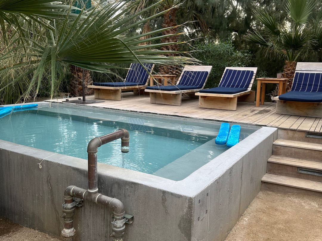 Two Bunch Palms主图