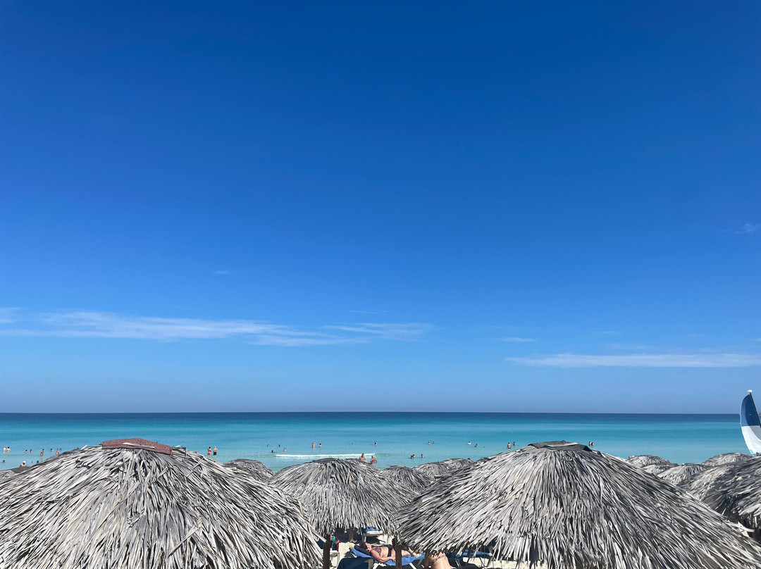 Starfish Las Palmas主图