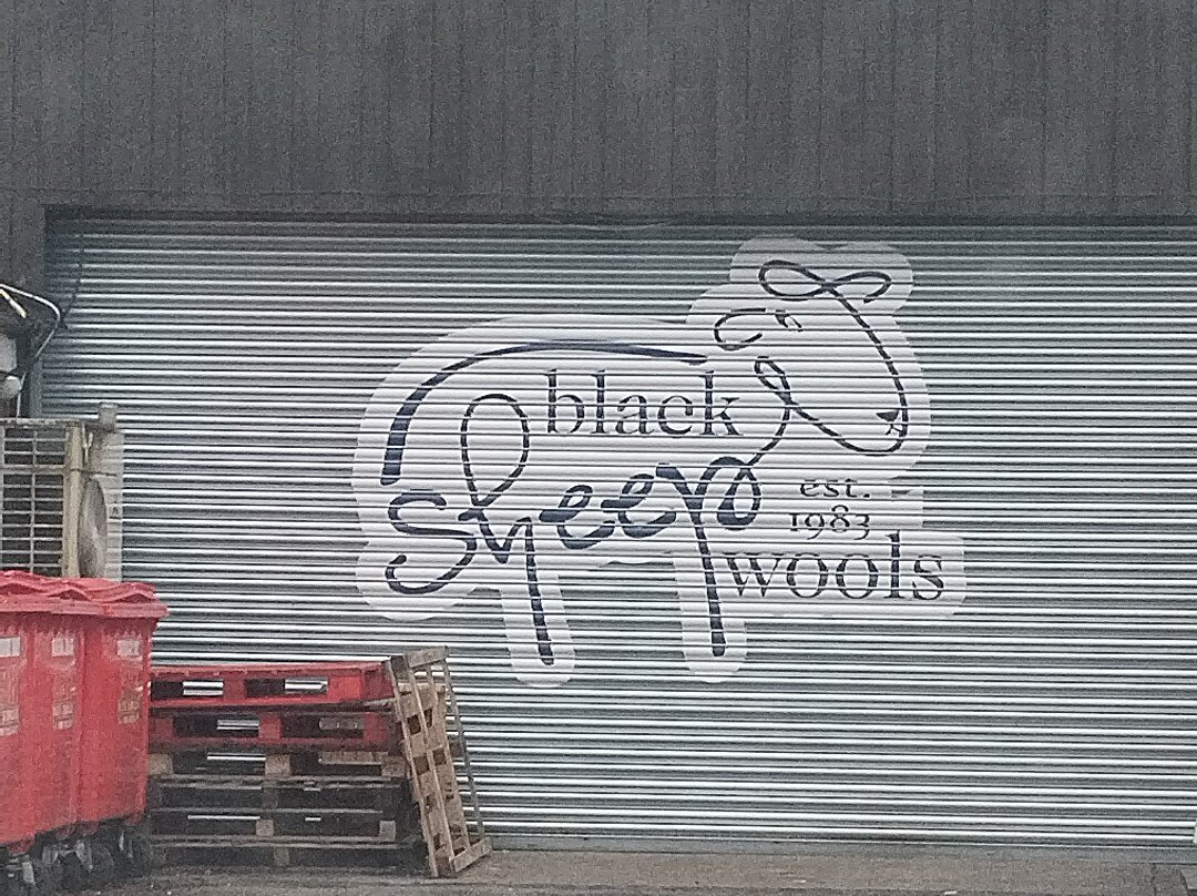 Black Sheep Wools景点图片