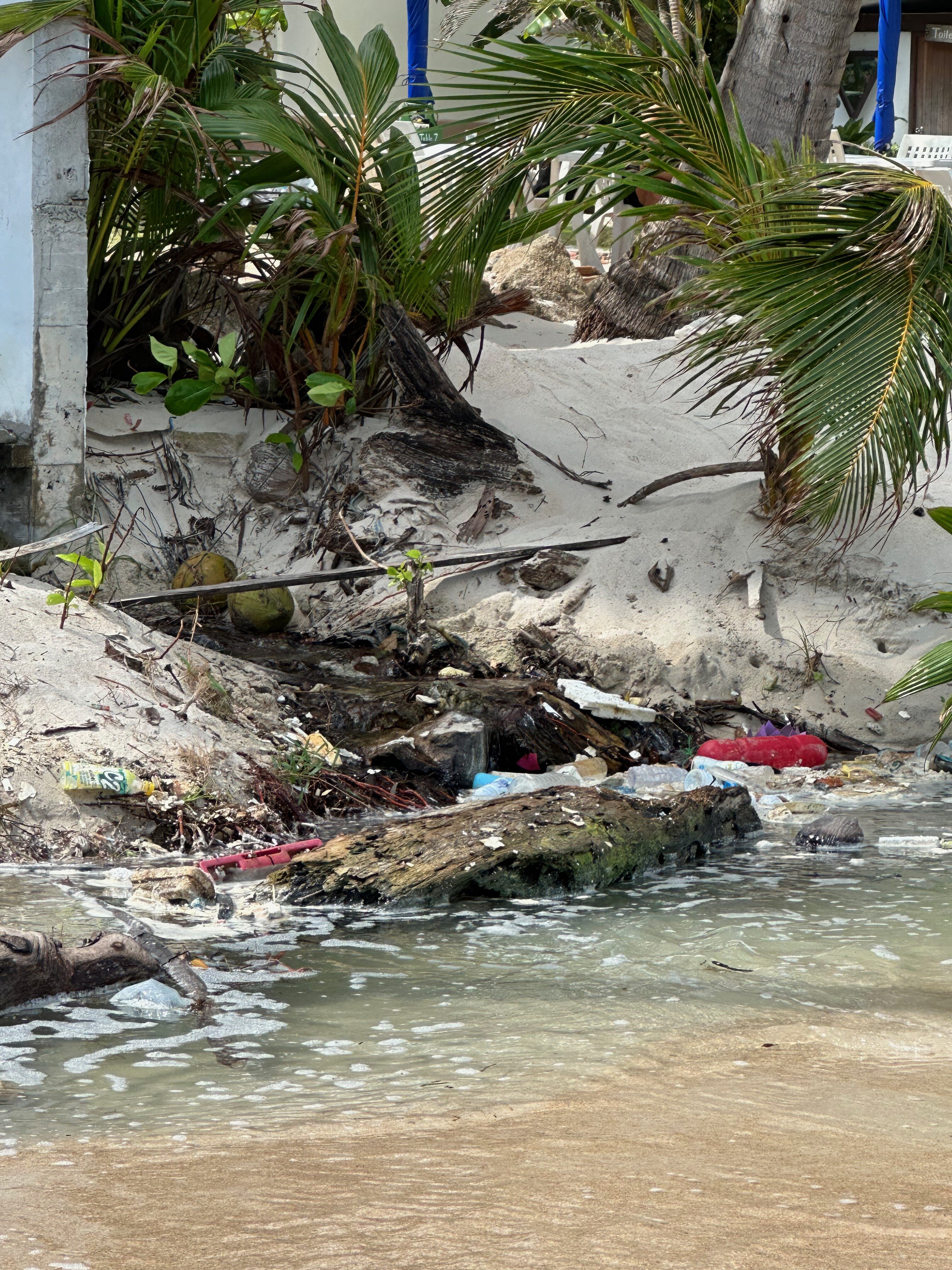 Samui Bayside Luxury Villas-泳池