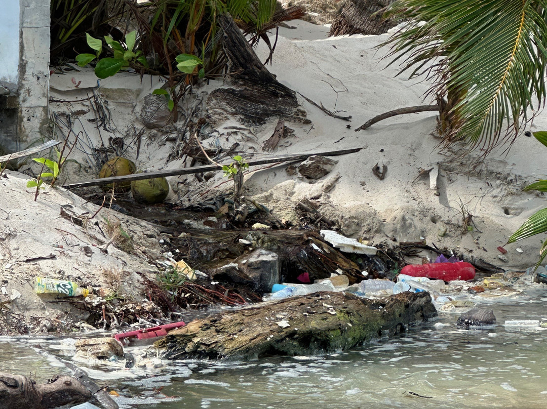 Samui Bayside Luxury Villas主图