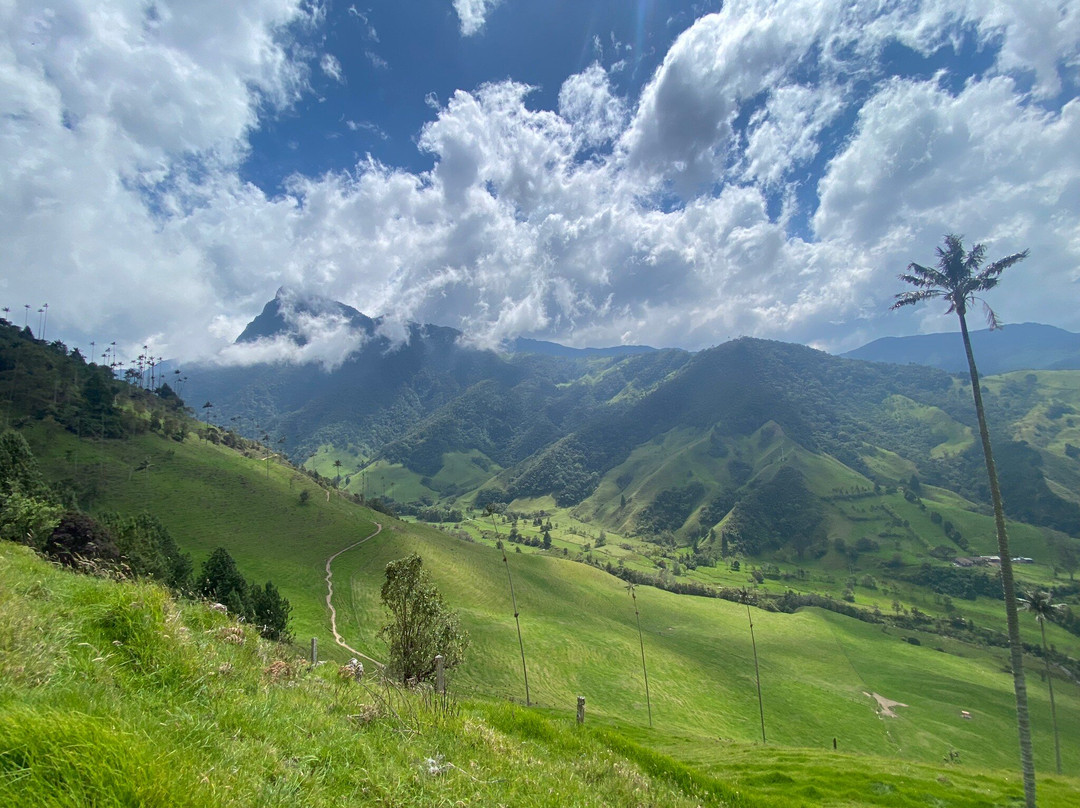 Gran Colombia Tours (Salento)景点图片