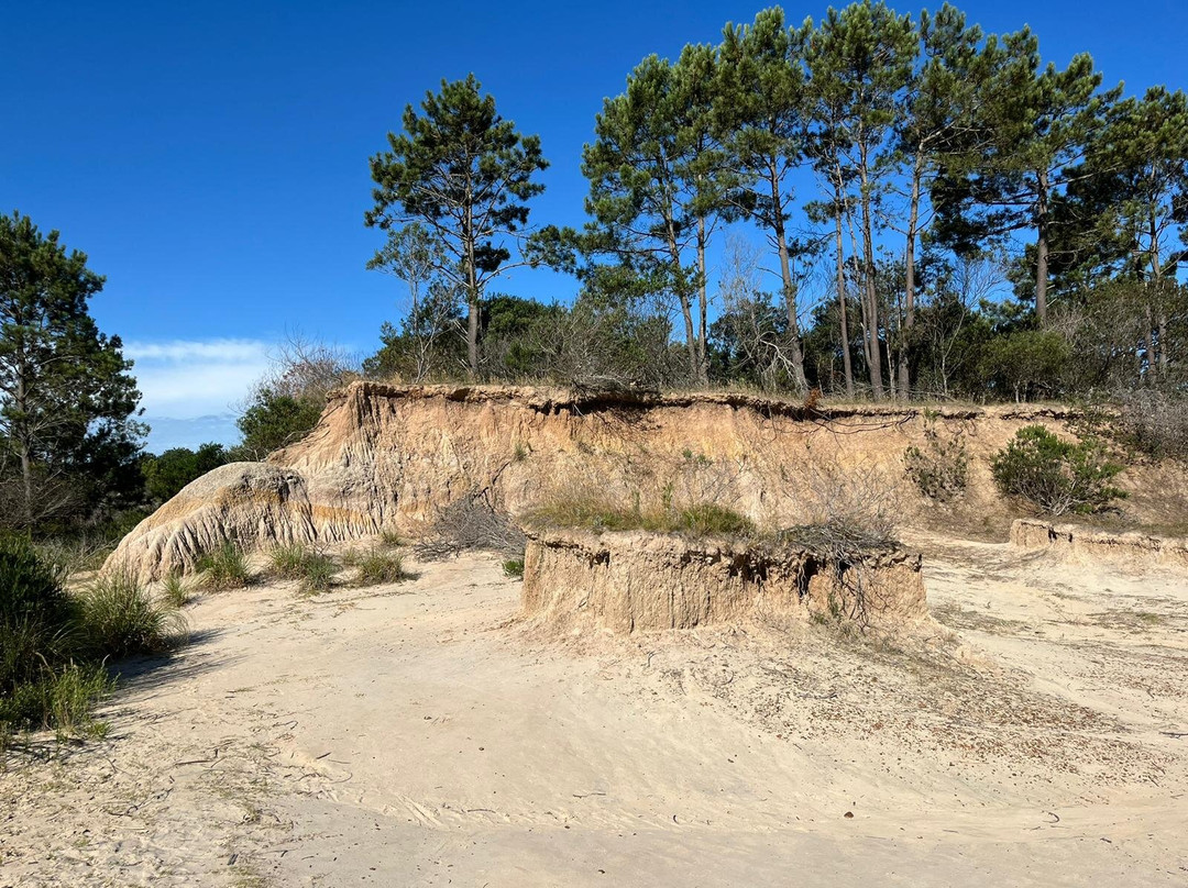 Valle De La Luna-Rocha必去景点