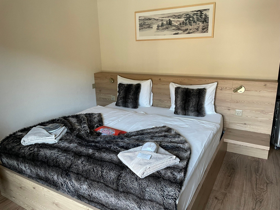 Viu Hotel Villars主图