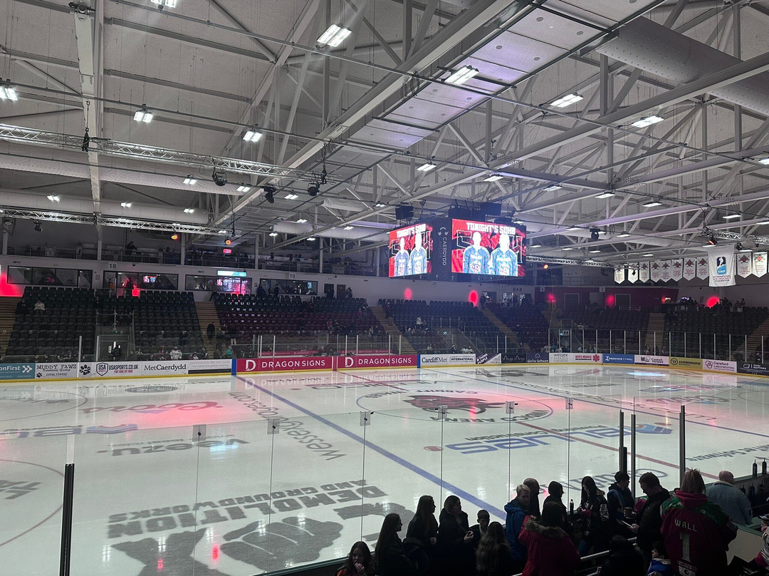 Vindico Arena-卡迪夫必去景点