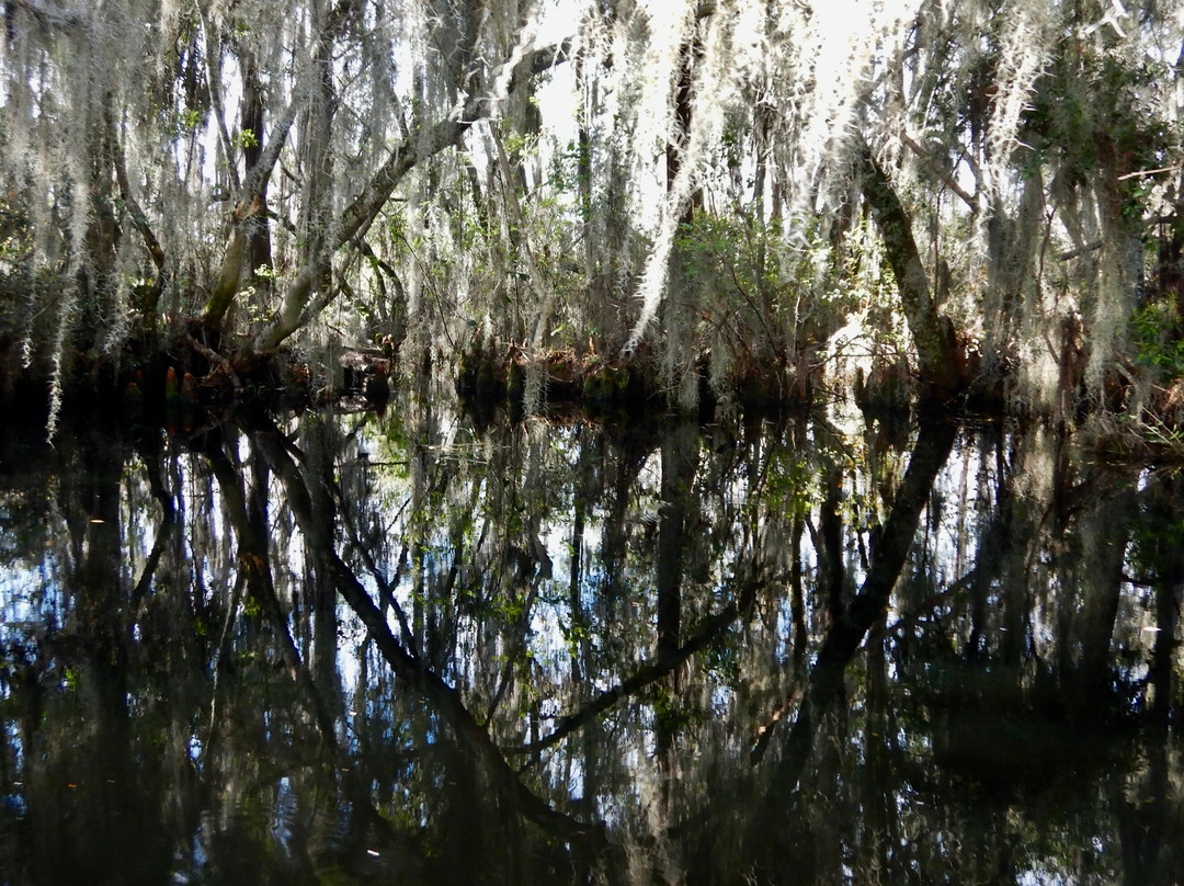 Ocmulgee Outdoor Expeditions-梅肯必去景点