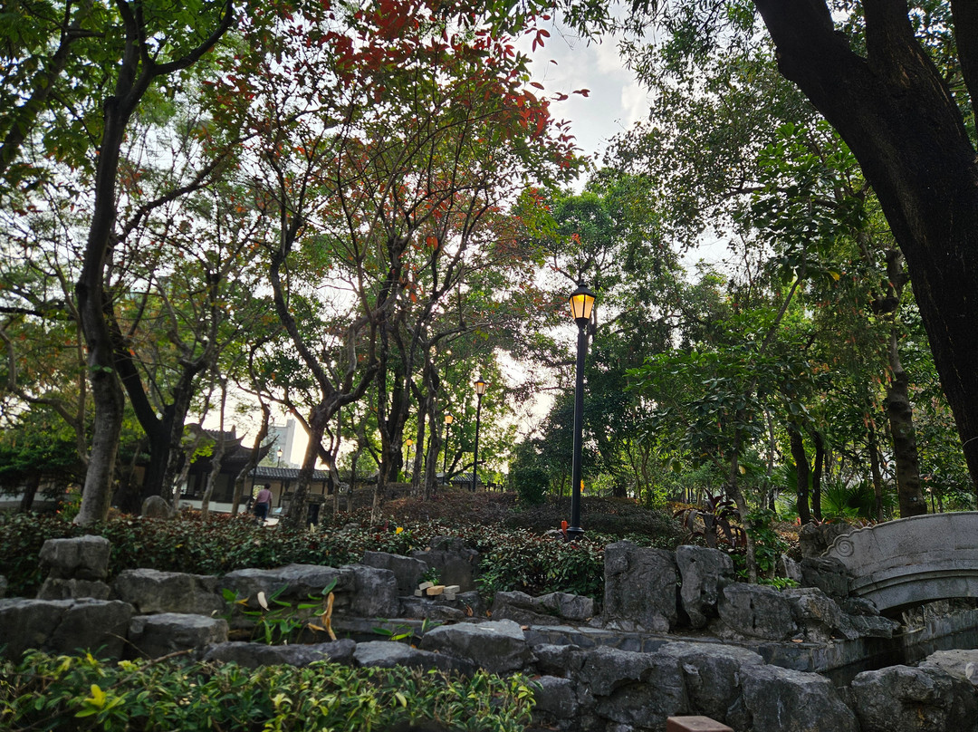 活现香港的香港一日游-香港必去景点