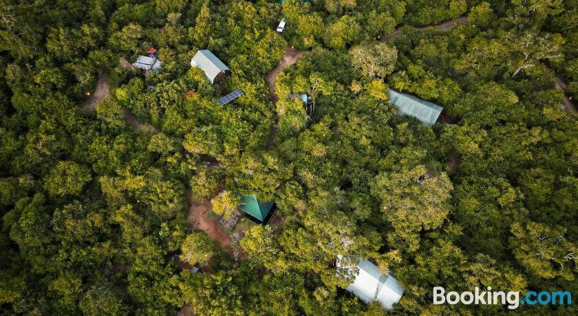 Yala Wild Tree House