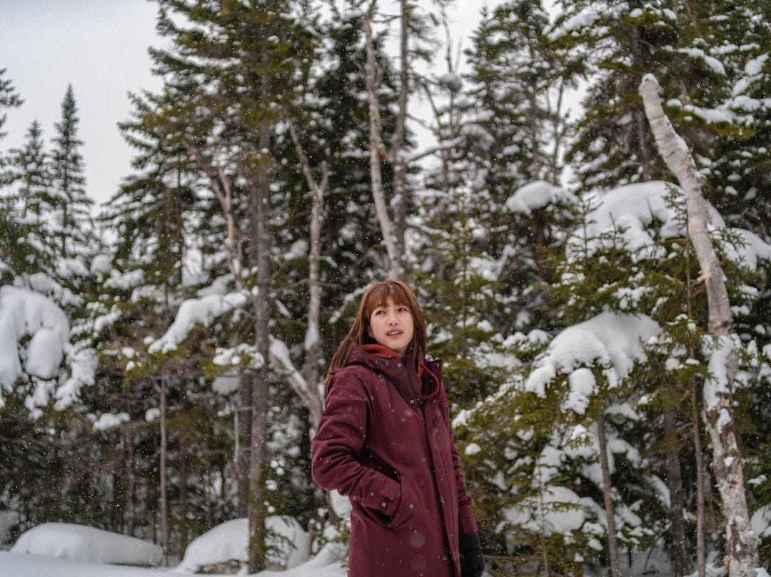 Bretton Woods at Mount Washington Resort-布雷顿森林必去景点