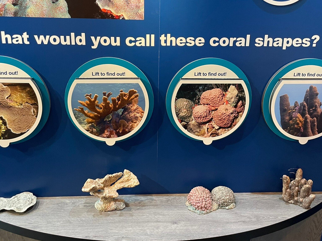 Florida Keys Eco-Discovery Center-基韦斯特必去景点