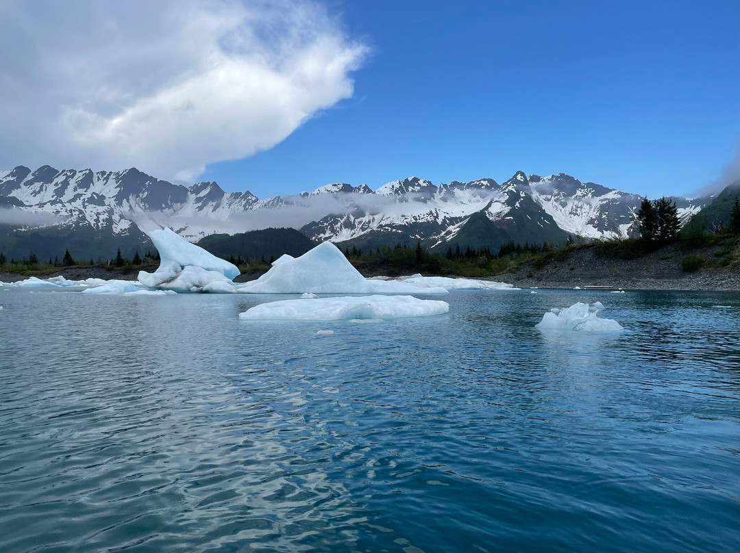 Bear Glacier-苏厄德必去景点