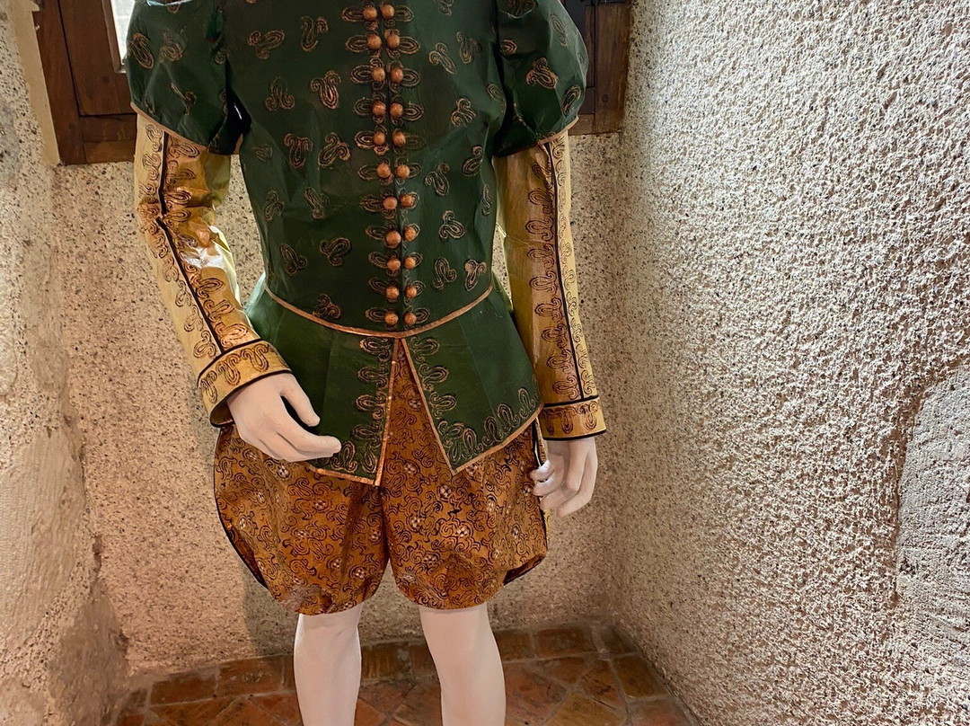 Château-Musée Henri IV景点图片