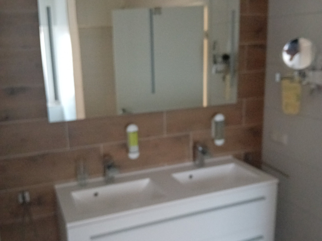 Zum Grunen Baum主图