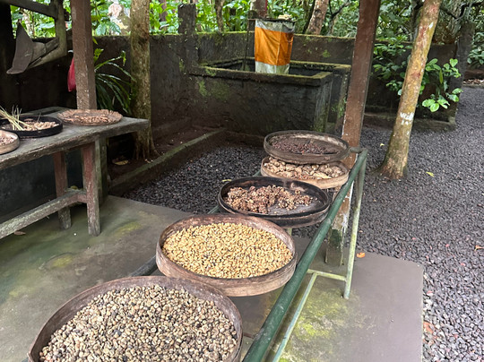 Mount batur adventure-乌布必去景点