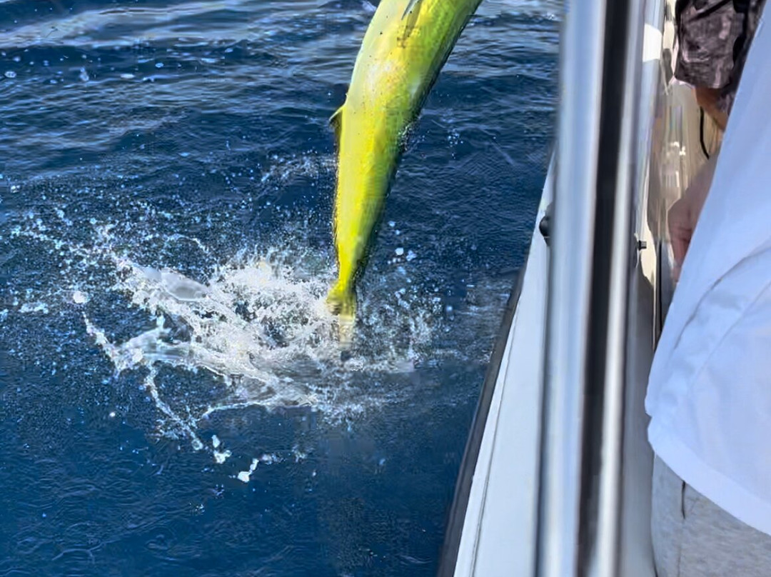 Emotional Fishing-德尼亚必去景点