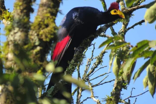 Gadabout Tours & Safaris-莫西必去景点