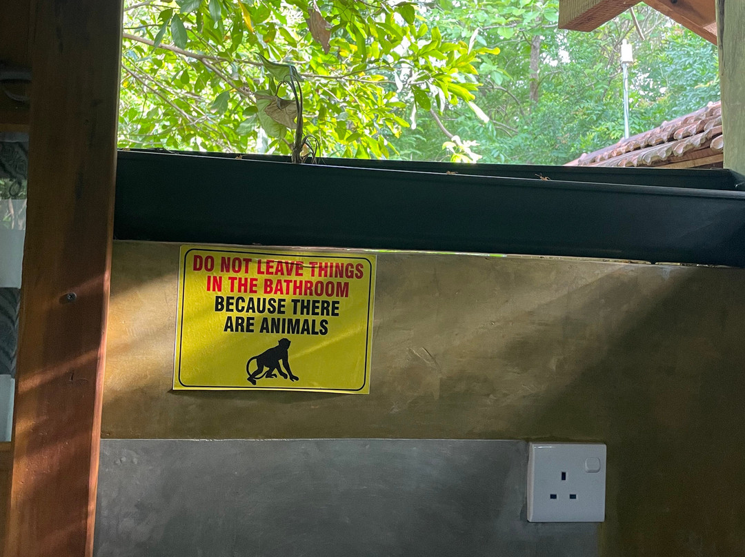 Habarana Ambasewana Resort主图