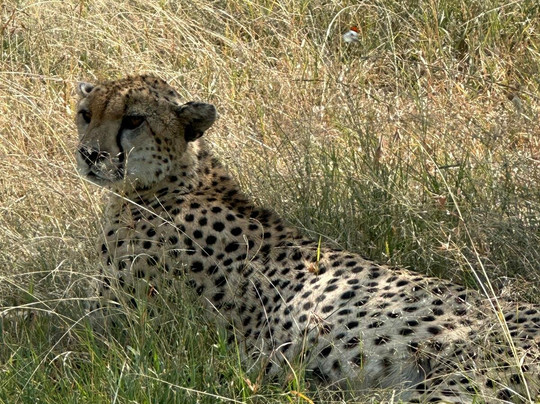 Virgin Explorers-蒙巴萨必去景点