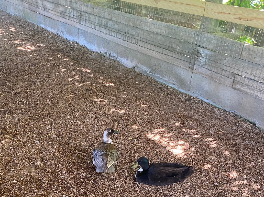 Mountain Valley Farm-Ellijay必去景点