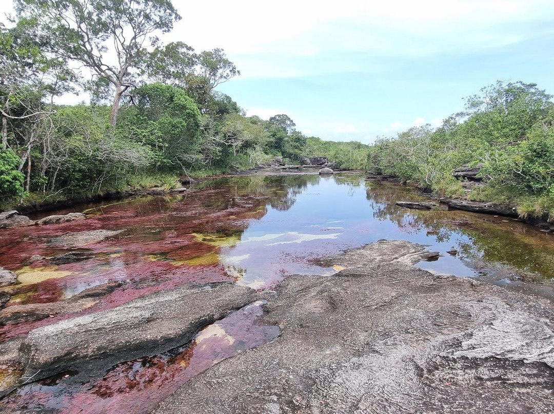Cristales Aventura Tours-La Macarena必去景点