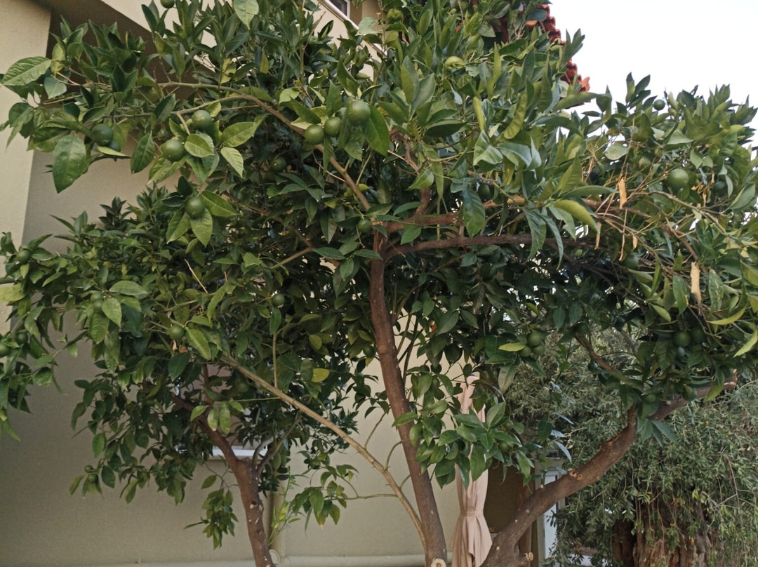 Filippos Hotel主图