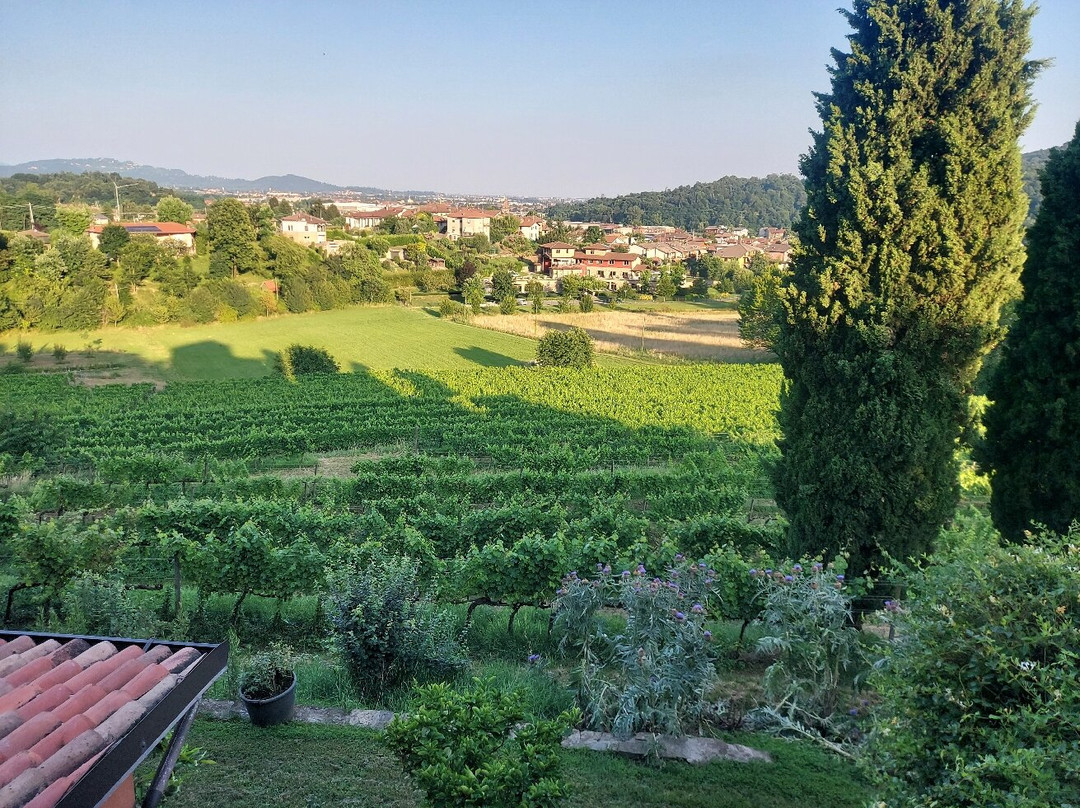Agriturismo Il Belvedere主图