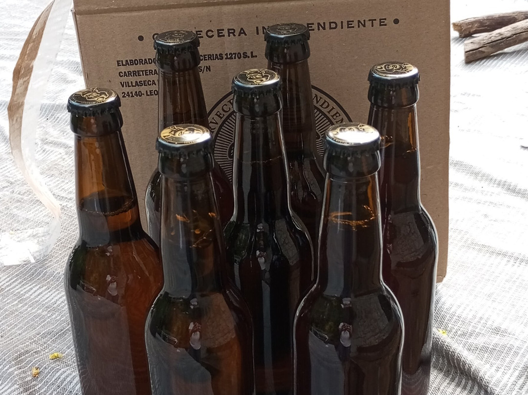 12-70 Cerveza Artesanal景点图片