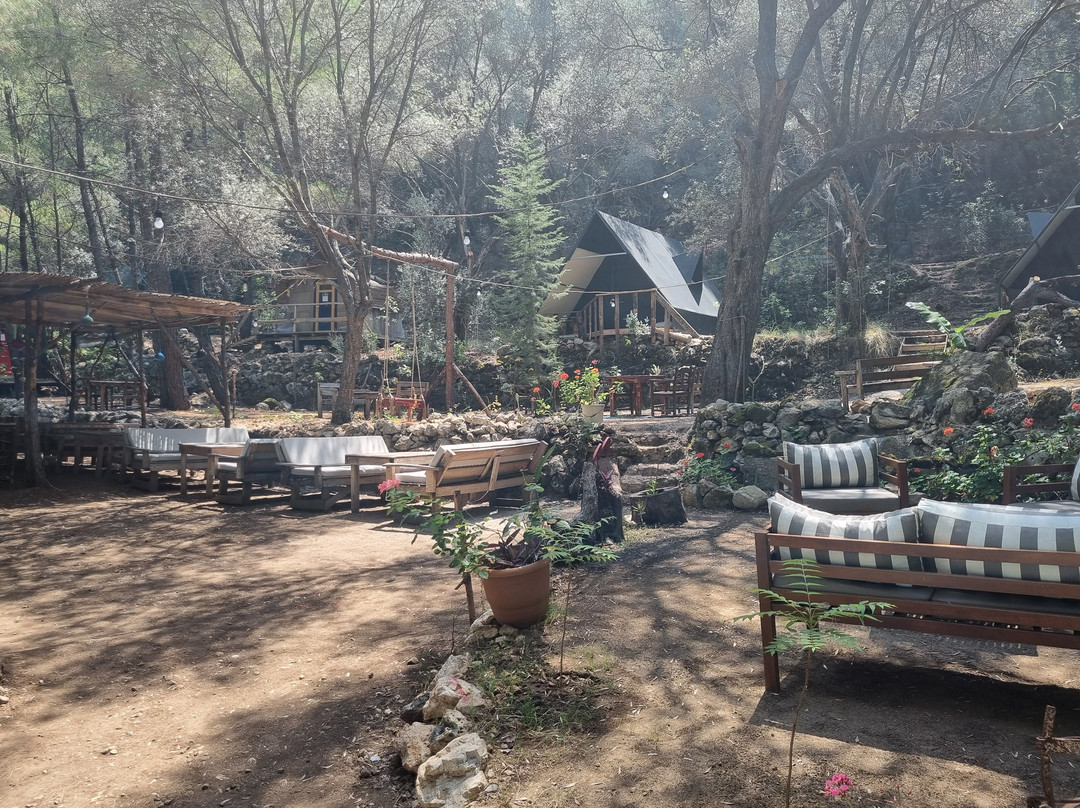Kabak Lost Forest