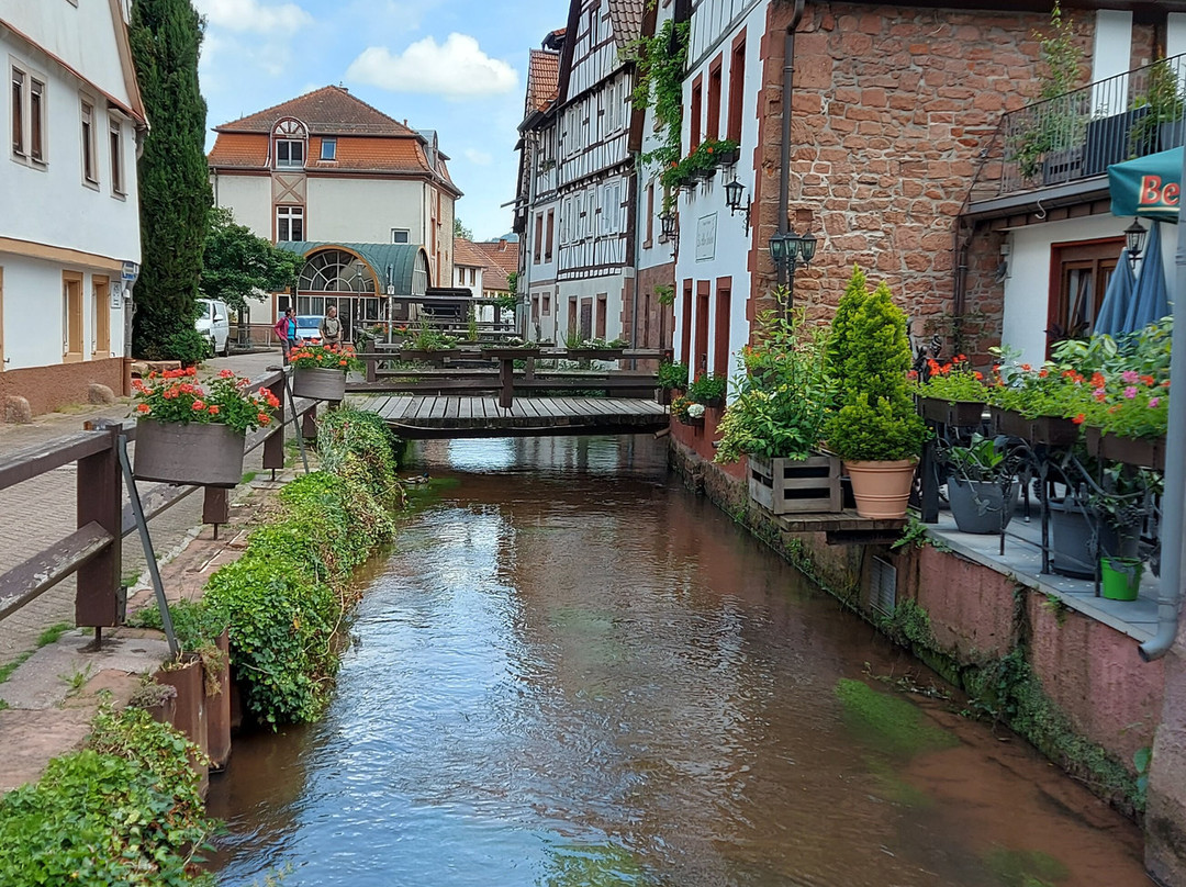 Altstadt Annweiler景点图片